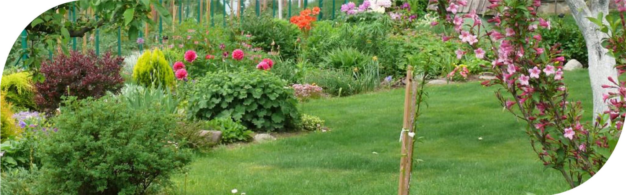 Jordbrugskalk og havekalk